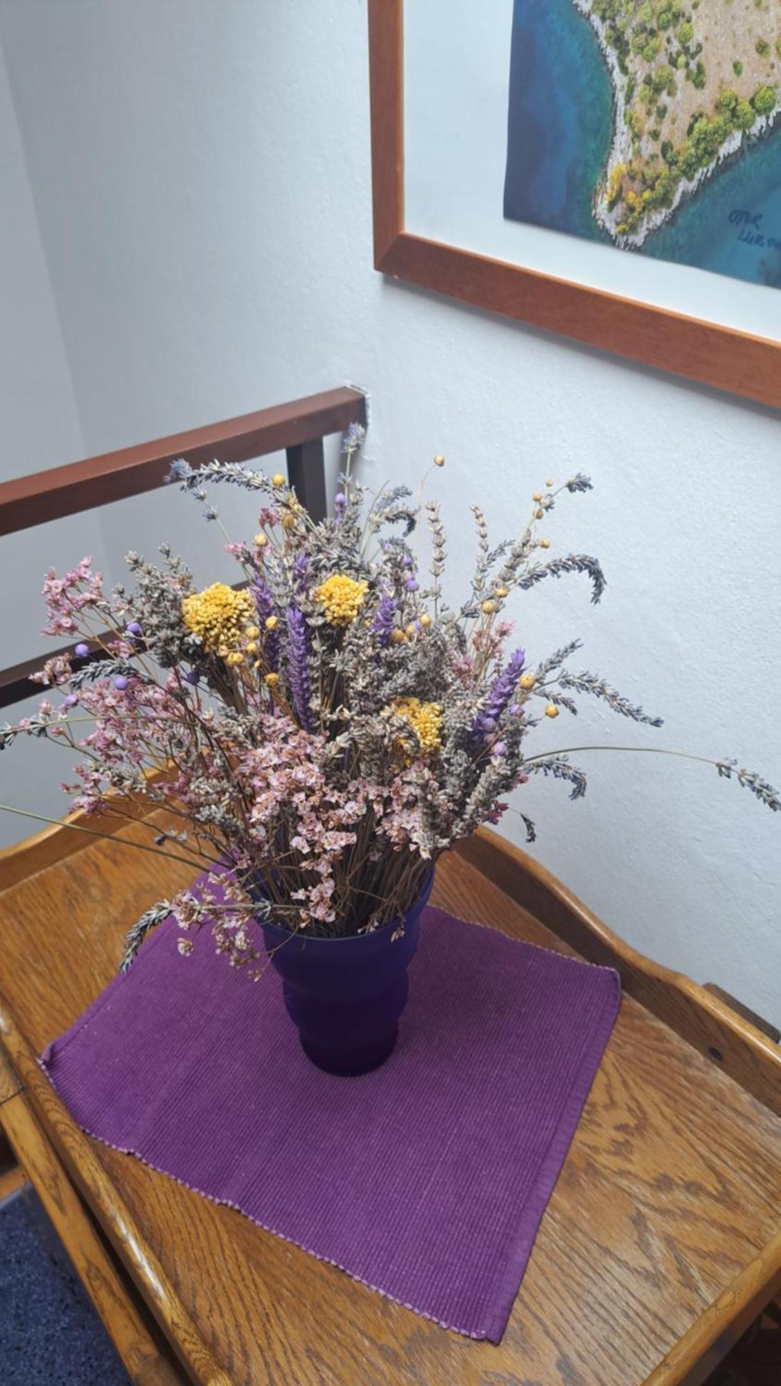 Apartmani Donna Пореч Экстерьер фото